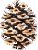 Hubbard Woods Software, Inc.